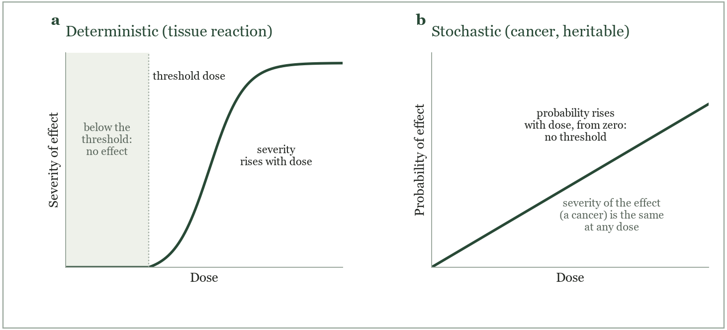 (a) Deterministic effects have a threshold dose, above which severity rises with dose. (b) Stochastic effects have no threshold: the probability rises with dose, the severity does not.