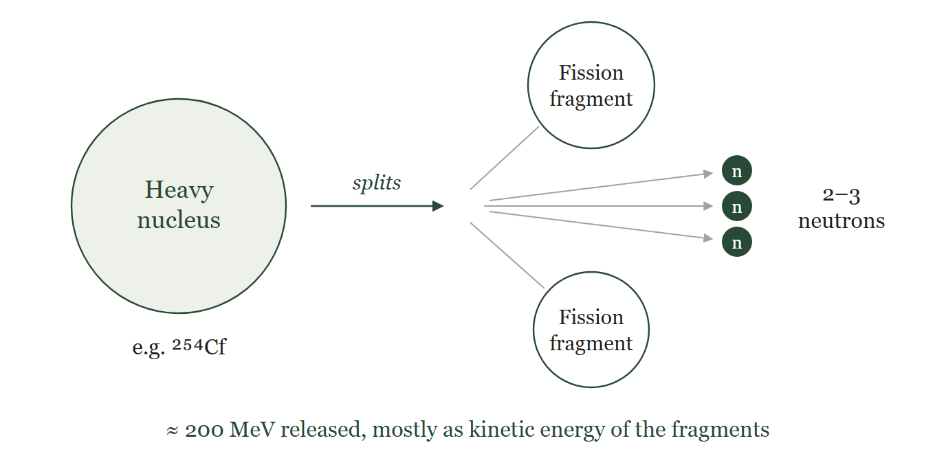 Spontaneous fission.