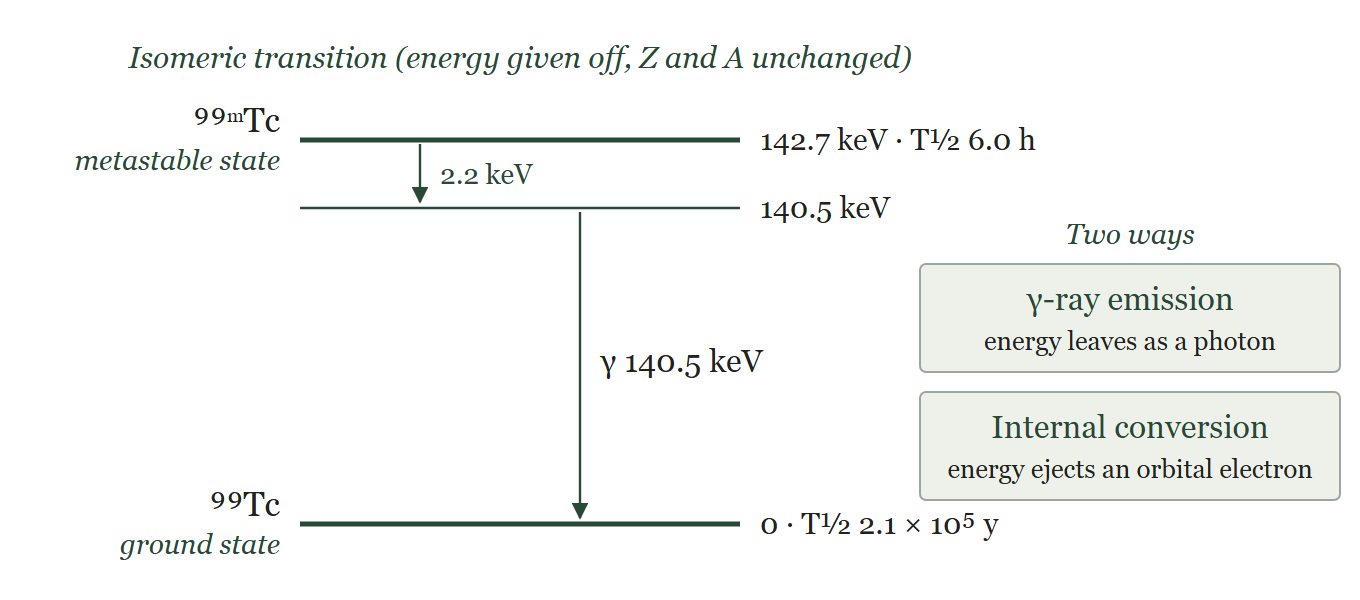 Isomeric transition of ⁹⁹ᵐTc.