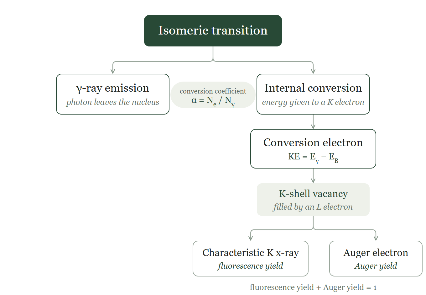 Isomeric transition: γ-ray emission, internal conversion and what follows.