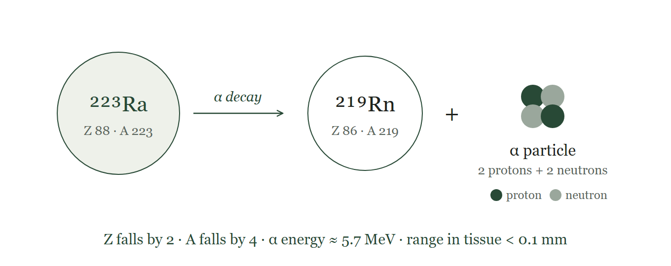 Alpha decay of ²²³Ra.