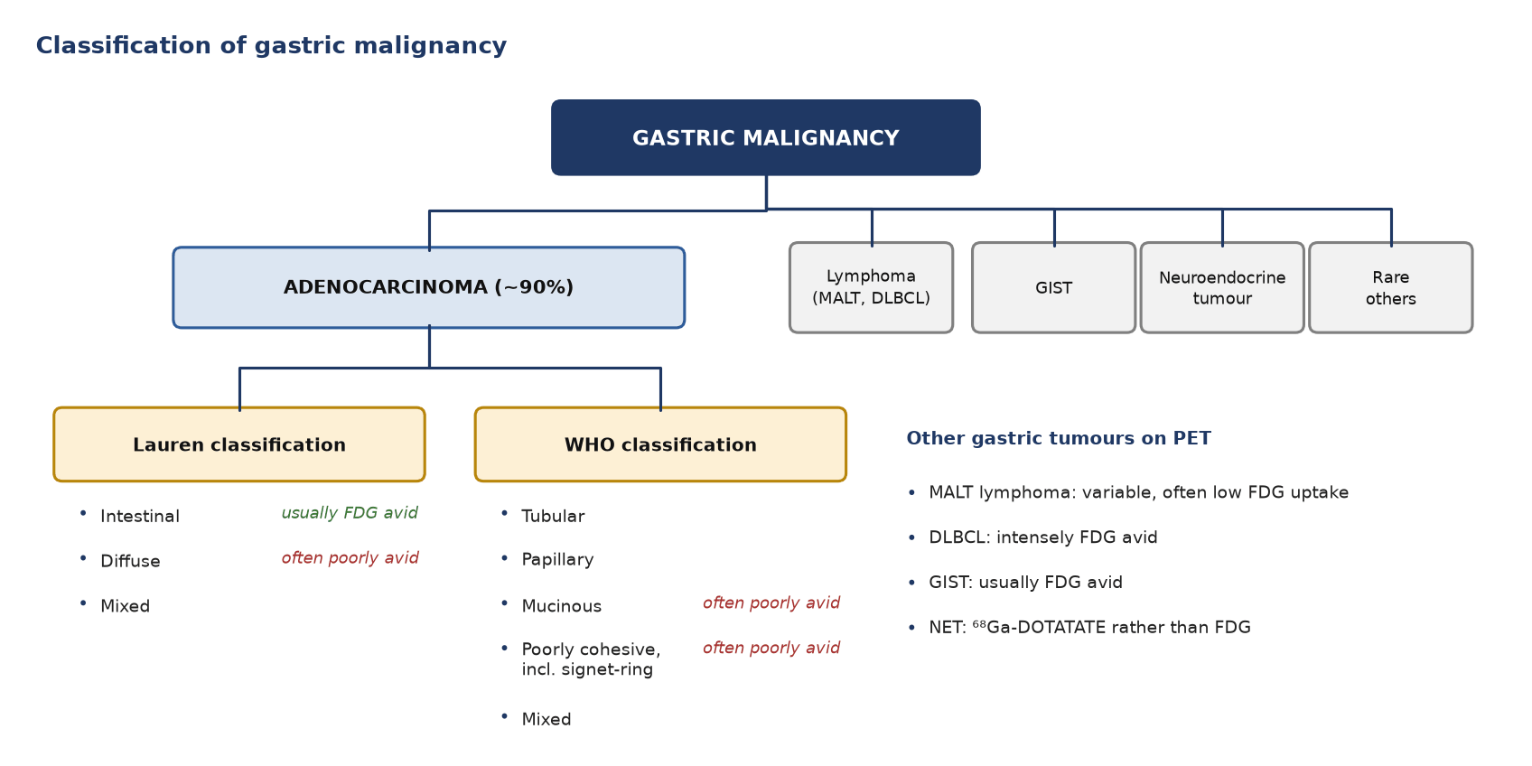 Classification of gastric malignancy. Adenocarcinoma is divided by the Lauren and WHO classifications; the histological type predicts FDG avidity.