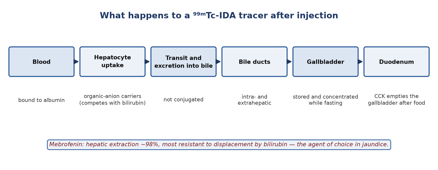 The path of a ⁹⁹ᵐTc-IDA tracer.