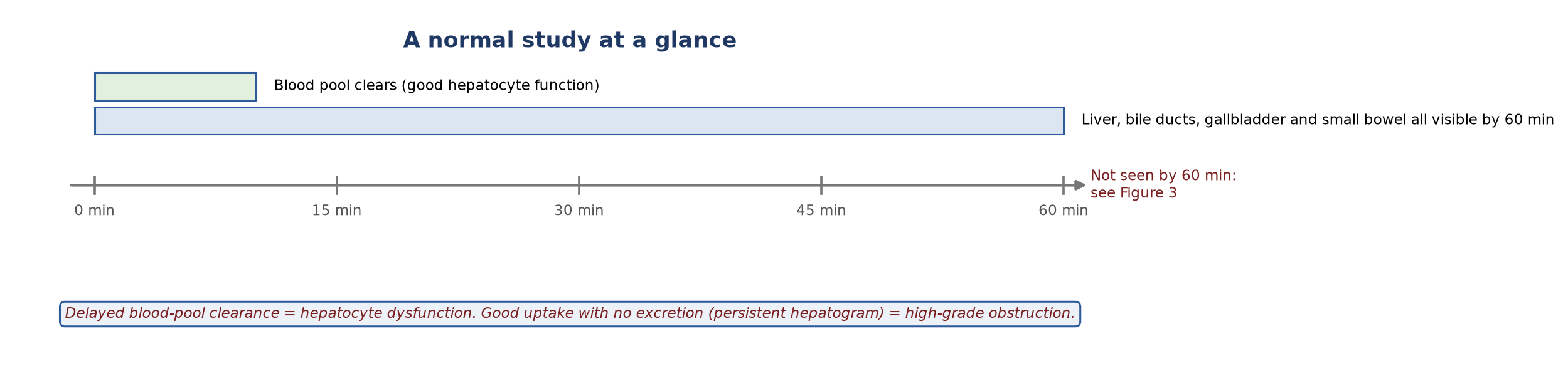 Timeline of a normal study.