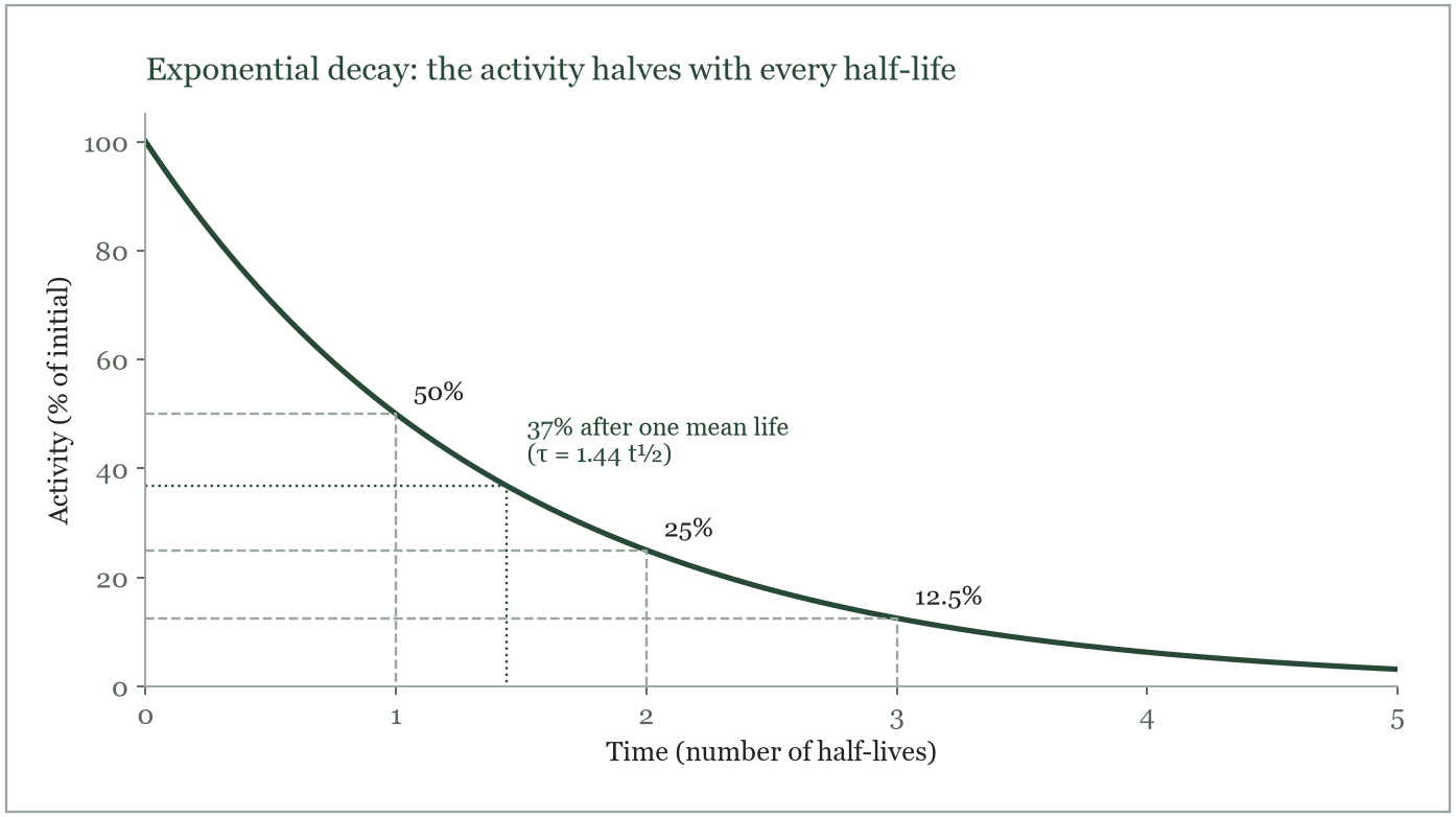 Exponential decay: the activity halves with every half-life and falls to 37 % after one mean life.