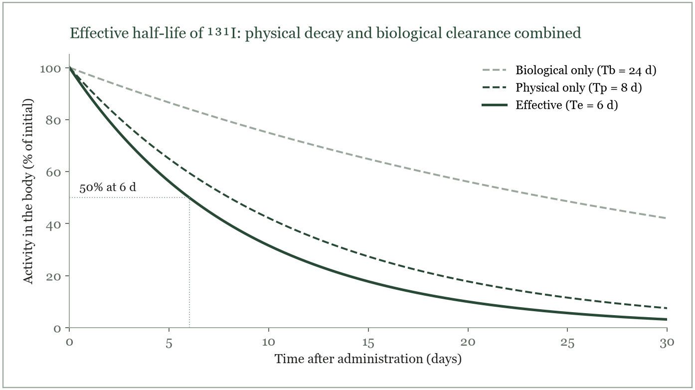 Physical, biological and effective half-lives for ¹³¹I (Tp 8 d, Tb 24 d, Te 6 d).