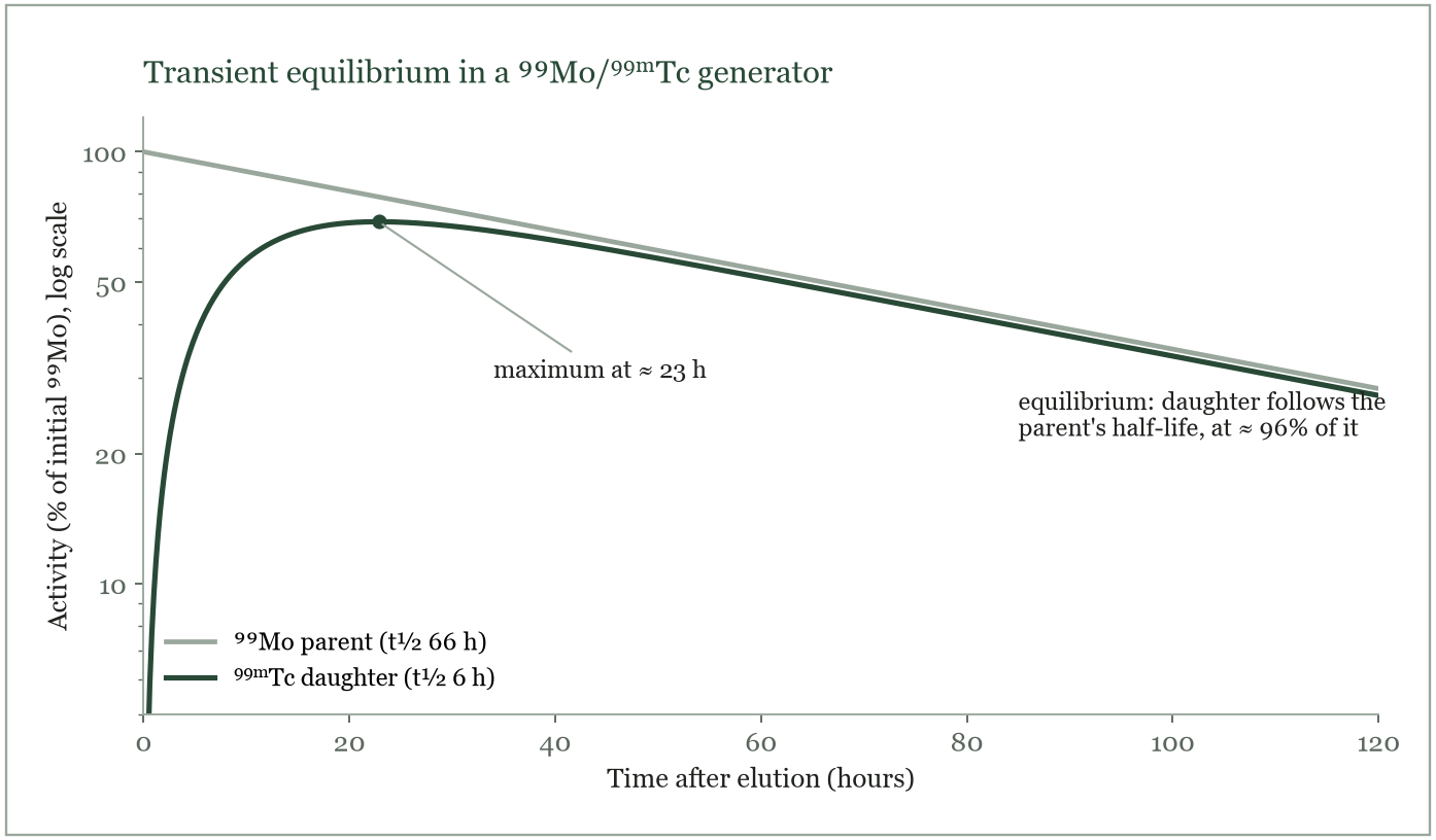 Transient equilibrium: ⁹⁹Mo and ⁹⁹ᵐTc activity after elution (semilogarithmic scale).