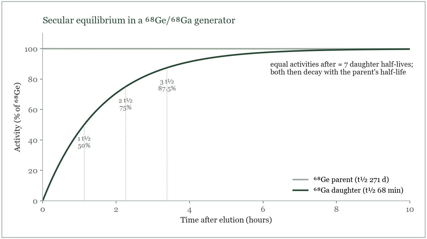 Secular equilibrium: ⁶⁸Ga builds up to equal the ⁶⁸Ge activity.