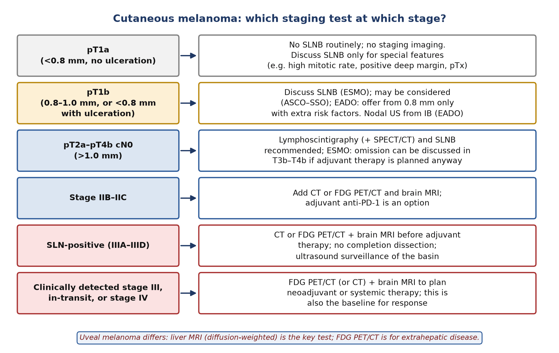 Stage-based use of sentinel node biopsy and cross-sectional imaging in cutaneous melanoma (after ESMO 2024, EADO 2024 and the American Society of Clinical Oncology–Society of Surgical Oncology, ASCO–SSO, 2018; the three guidelines word the pT1b recommendation differently).