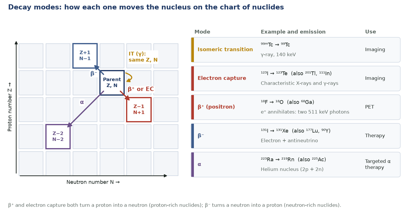 Chart-of-nuclides diagram showing how beta-minus, beta-plus or electron capture, alpha decay and isomeric transition change proton and neutron numbers, with nuclear medicine examples.