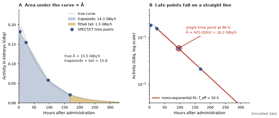 Two-panel graph of kidney activity against time after a lutetium-177 therapy: measured points at 4, 24, 96 and 168 hours with the area under the curve shaded as trapezoids plus an extrapolated tail; the right panel shows the same data on a log scale with a straight-line fit through the late points.