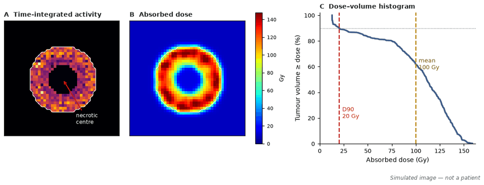 Three panels of simulated data: an activity map of a tumour with a necrotic centre, the corresponding absorbed-dose map, and a dose–volume histogram with the mean dose and D90 marked.