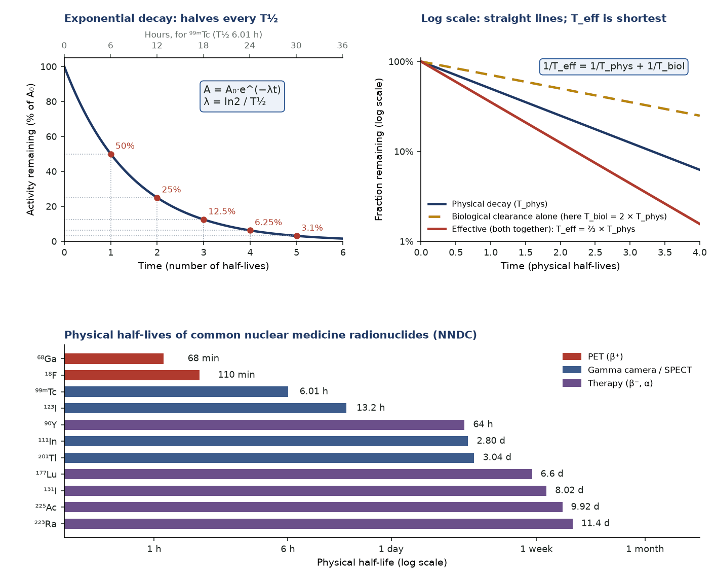 Decay curve halving every half-life, a log-scale plot showing that the effective half-life is shorter than both physical and biological half-lives, and a bar chart of physical half-lives from gallium-68 to radium-223.