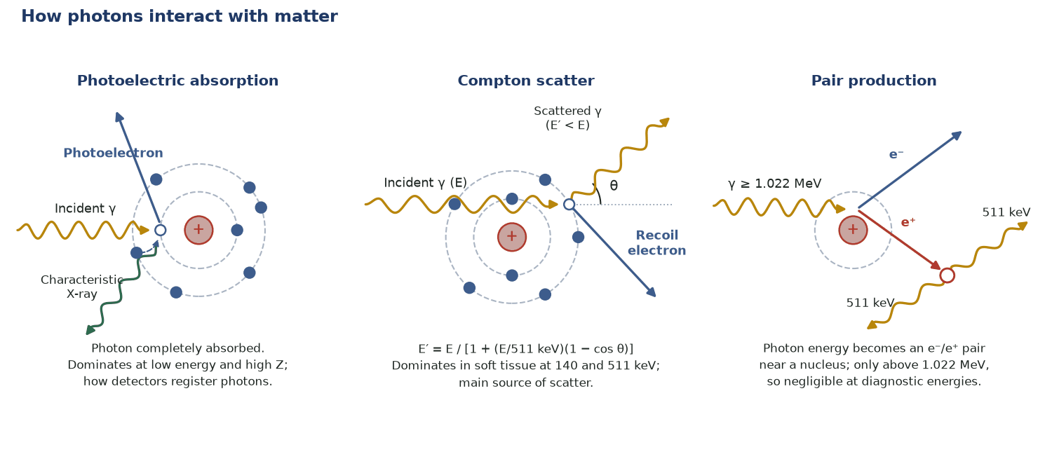 Three diagrams: photoelectric absorption with photoelectron and characteristic X-ray, Compton scatter with scattered photon and recoil electron, and pair production above 1.022 MeV with annihilation photons.