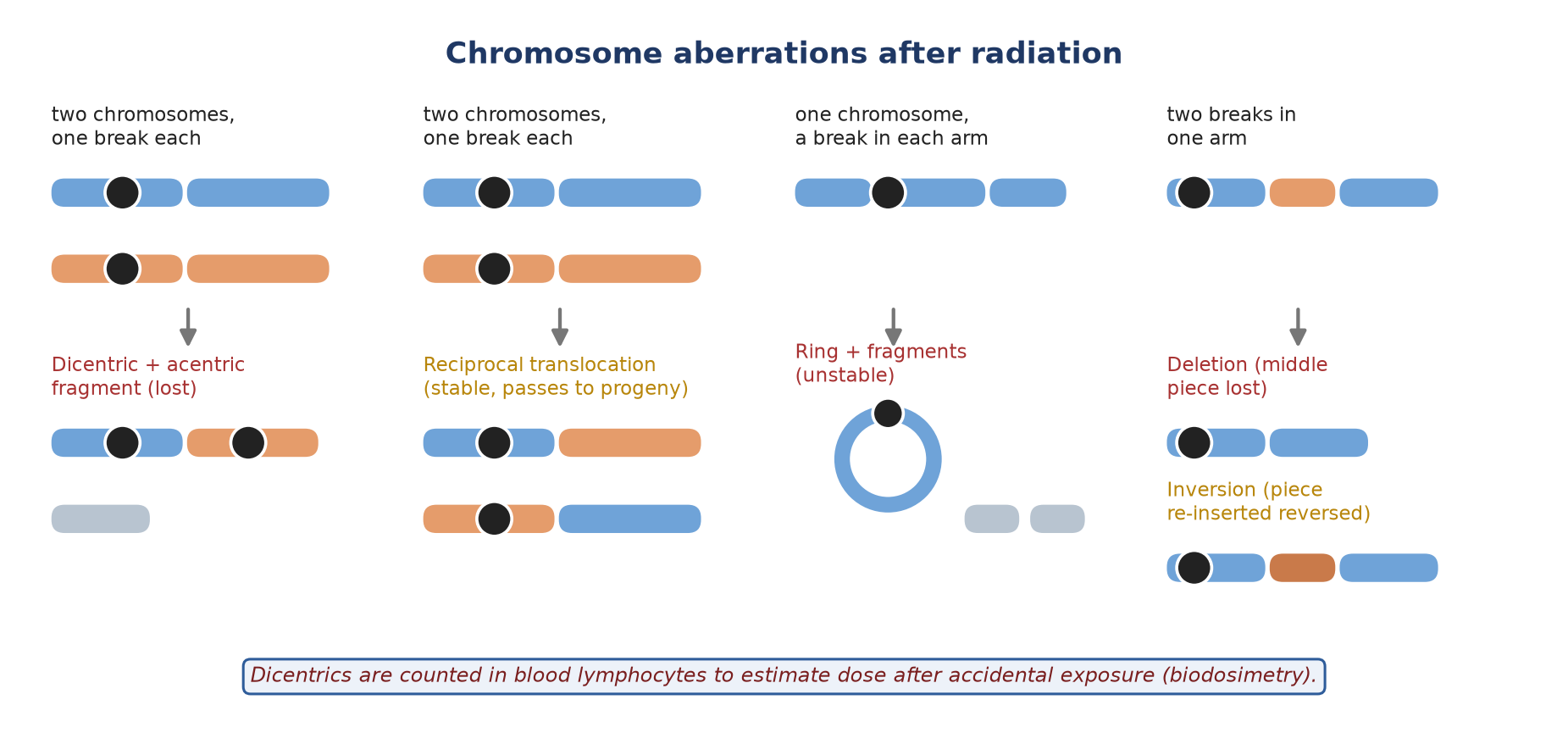 How mis-rejoined breaks produce the main aberrations.