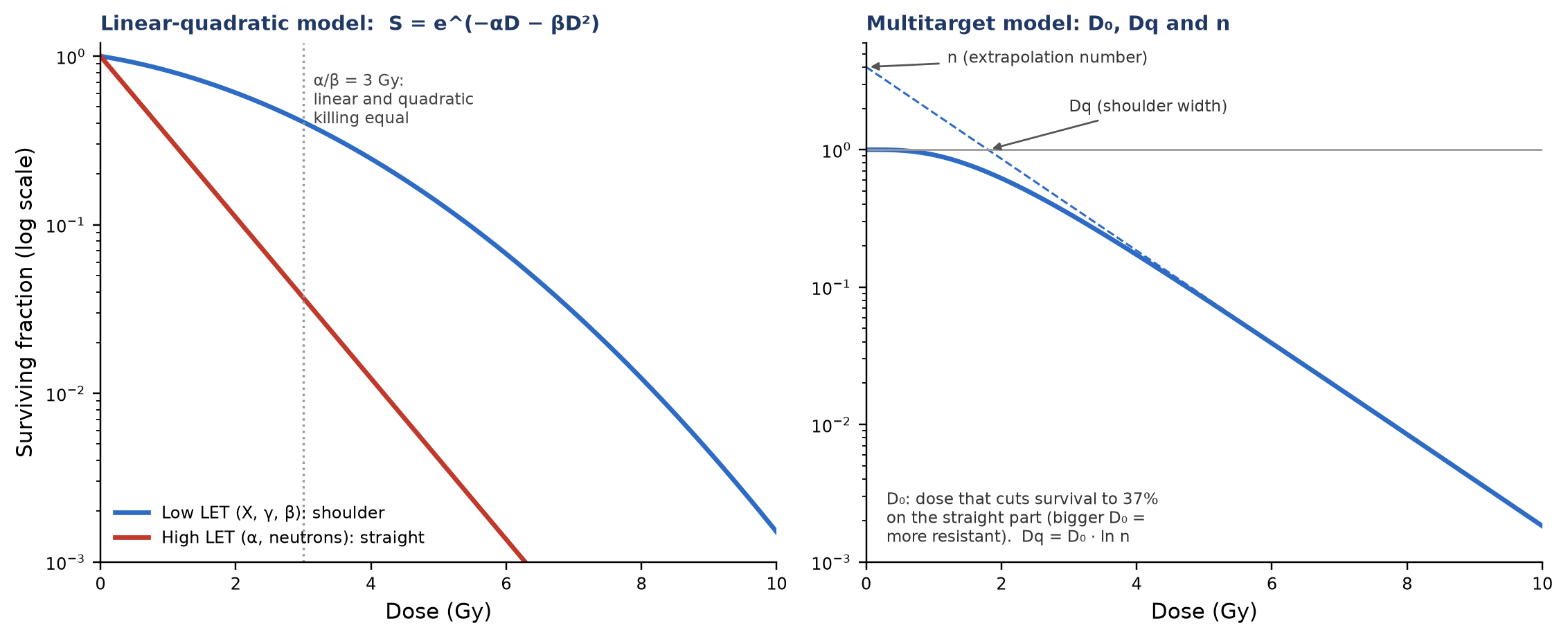 Cell survival curves: the LQ model for low- and high-LET radiation (left) and the multitarget parameters (right). Curves are illustrative.