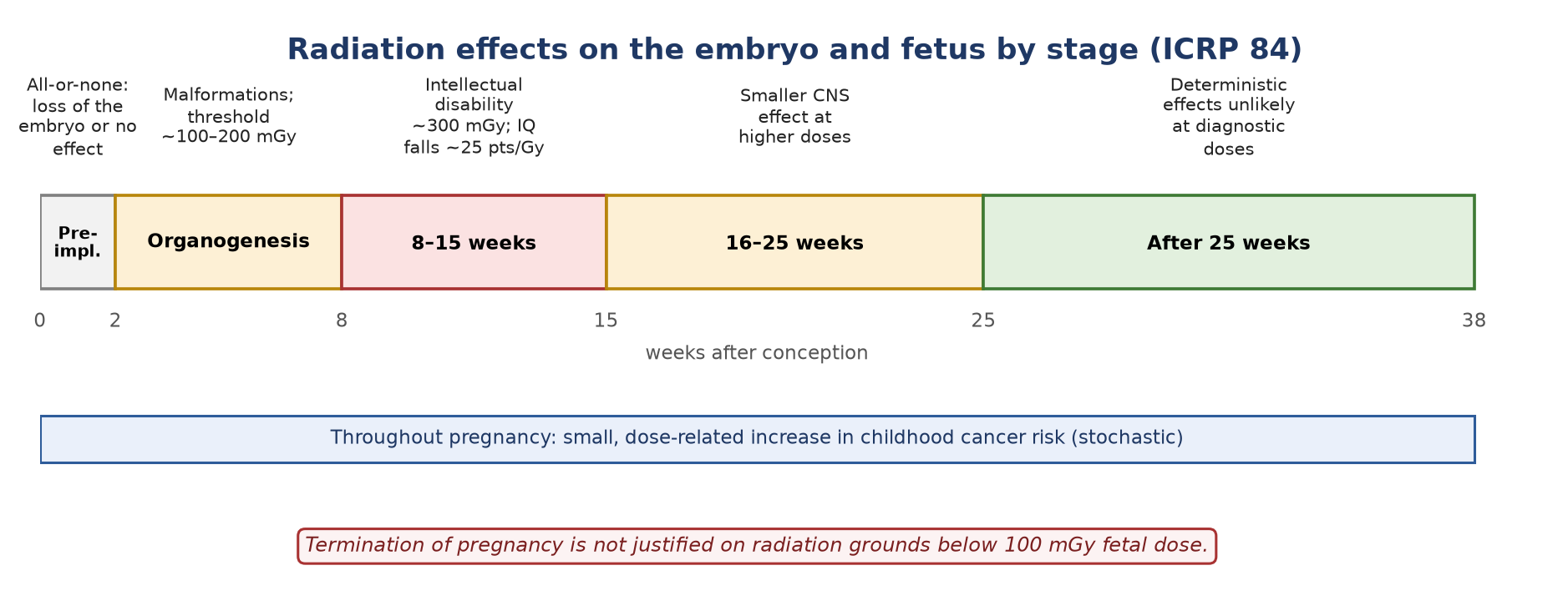 Stage-dependent effects of radiation on the embryo and fetus.