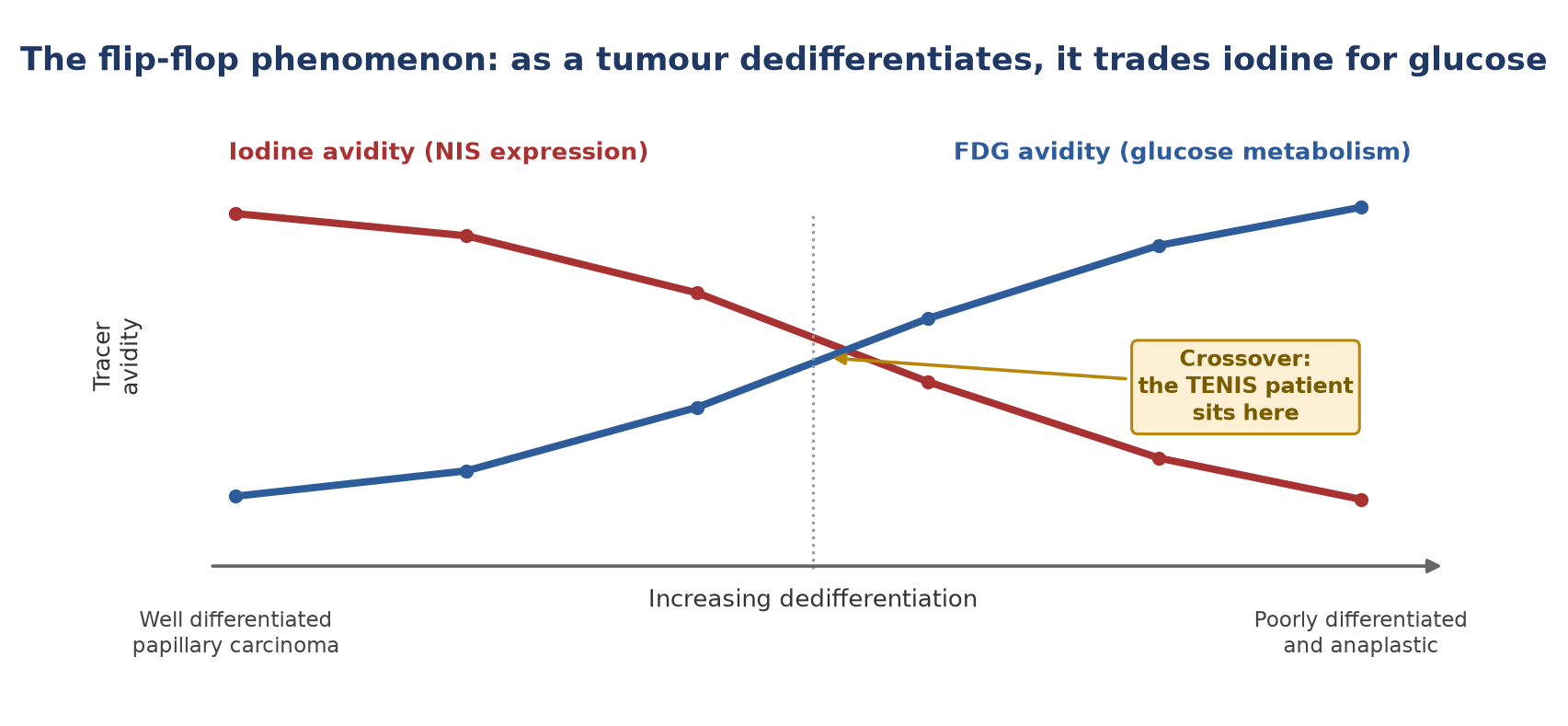 Flip-flop: as a tumour dedifferentiates it loses iodine avidity and gains FDG avidity. TENIS = thyroglobulin elevated, negative iodine scintigraphy.