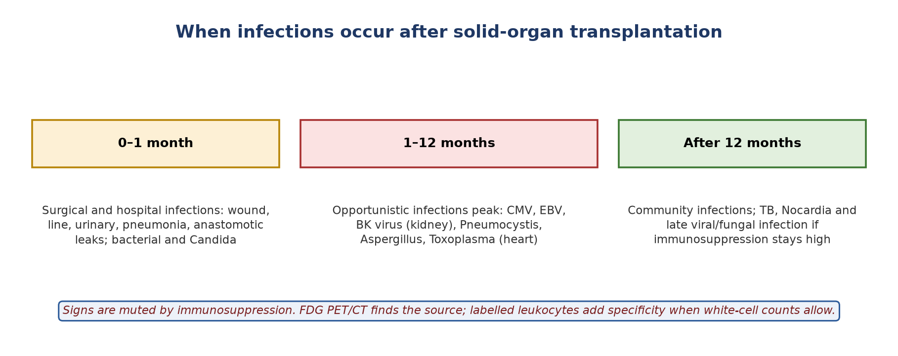 The usual timeline of infection after transplantation (after Fishman).