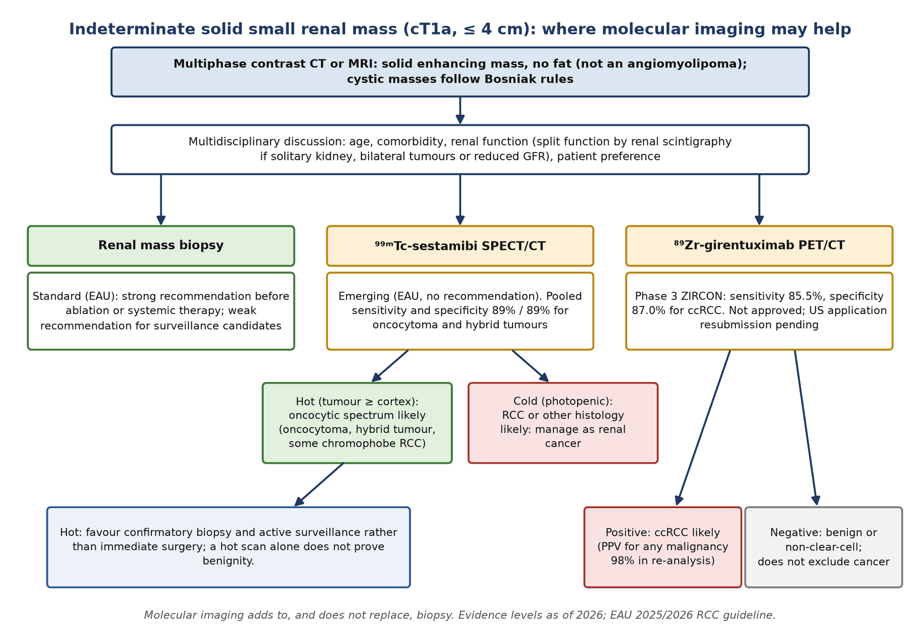 A pathway for the indeterminate solid small renal mass, showing where sestamibi SPECT/CT and CAIX PET can inform the choice between biopsy, surveillance and treatment. Neither test replaces biopsy.